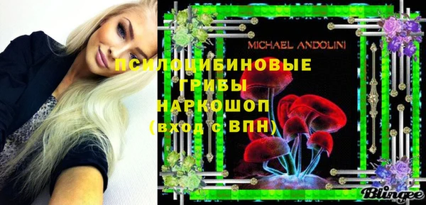 индика Алзамай