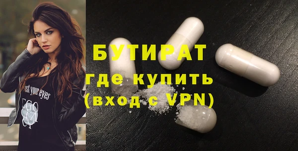 индика Алзамай